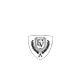 Evervess_BN1